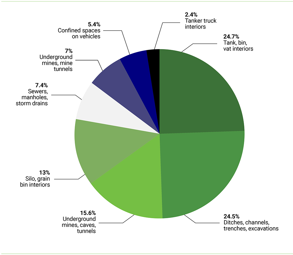 Pie Chart Fatalities Graphic